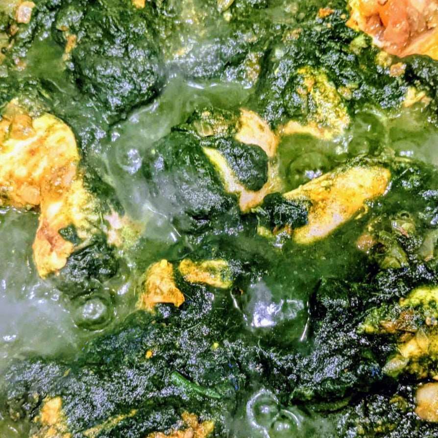 a close up of a bunch of vegetables