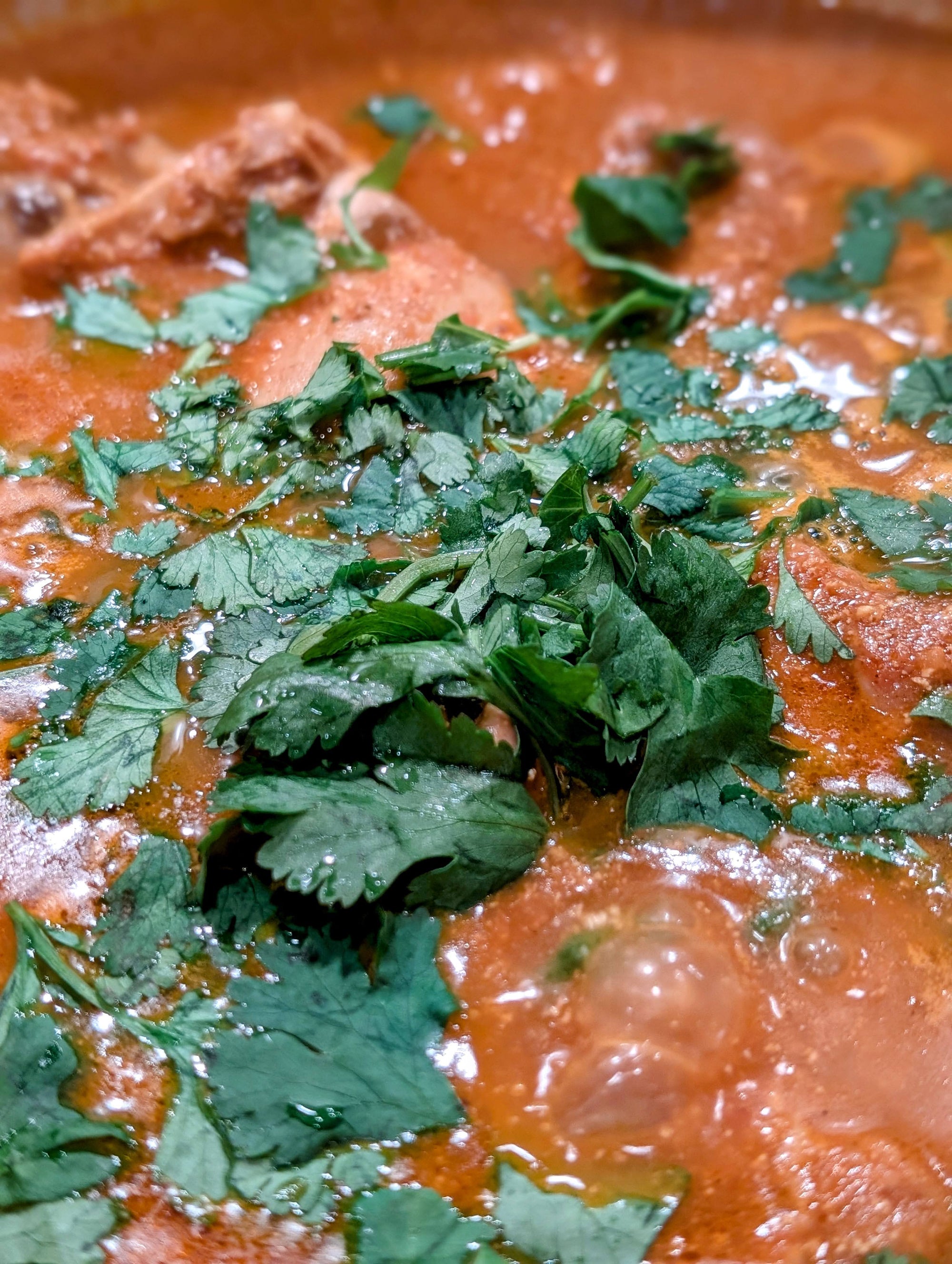 Rich and flavorful chicken curry garnished with cilantro made with DHOL Spice Mix